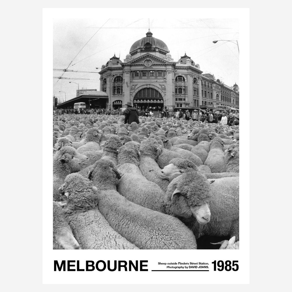 Sheep Outside Flinders Street Station, 1985