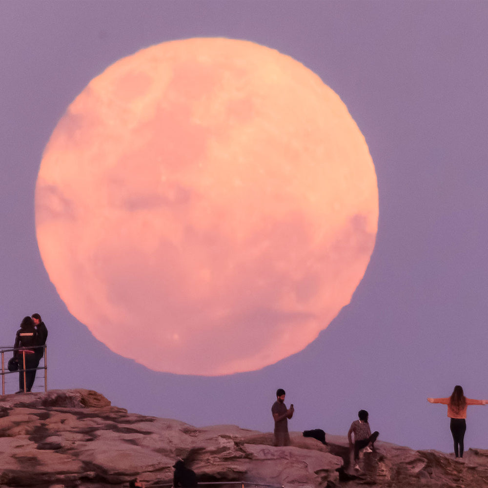 Super Blue Moon Rises Over Bondi Beach