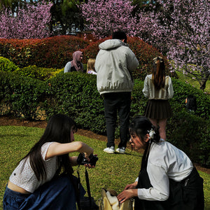 Scenes reminiscent of the Japanese artist Hokusai can be found at Cherry Blossom festival in Auburn Botanic Garden. Warm weather has brought thousands to see the explosion of pink. 22 August 2023
Photography by N...